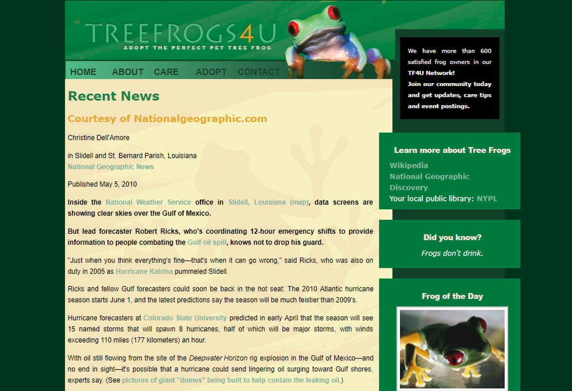 Tree Frogs, in Web Design