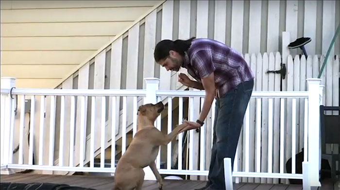 Dog Food Commercial Screenshot